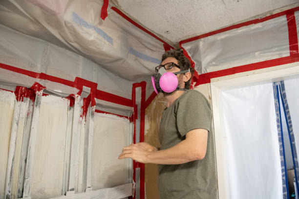 Anza, CA Mold Removal Company