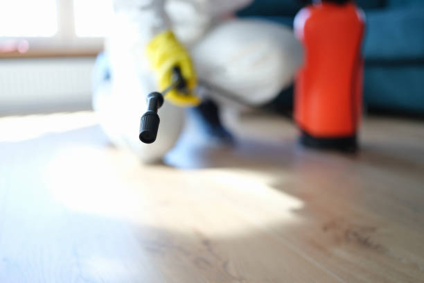 Best Residential Mold Inspection & Testing  in Anza, CA